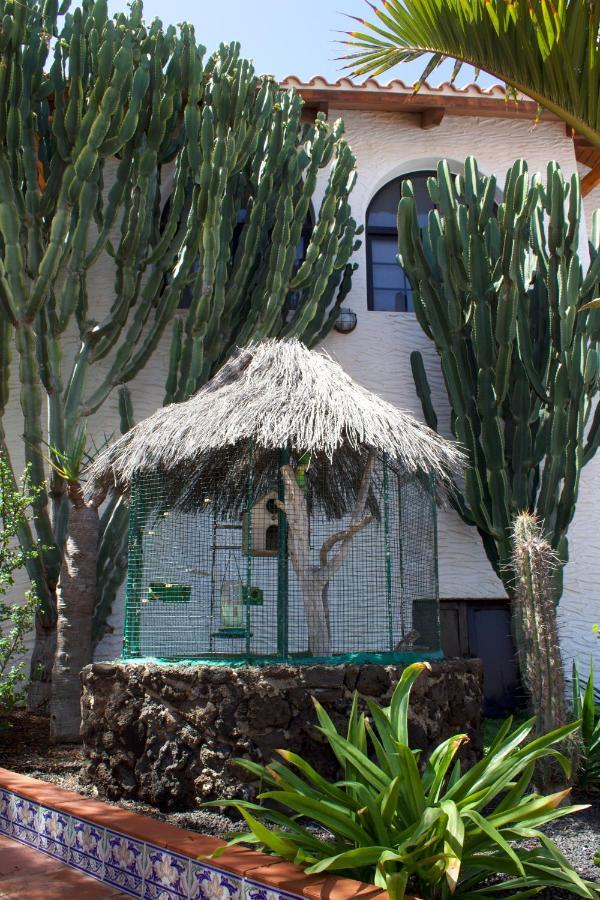 Miramar Boutique Apartments Adults Only Corralejo Bagian luar foto